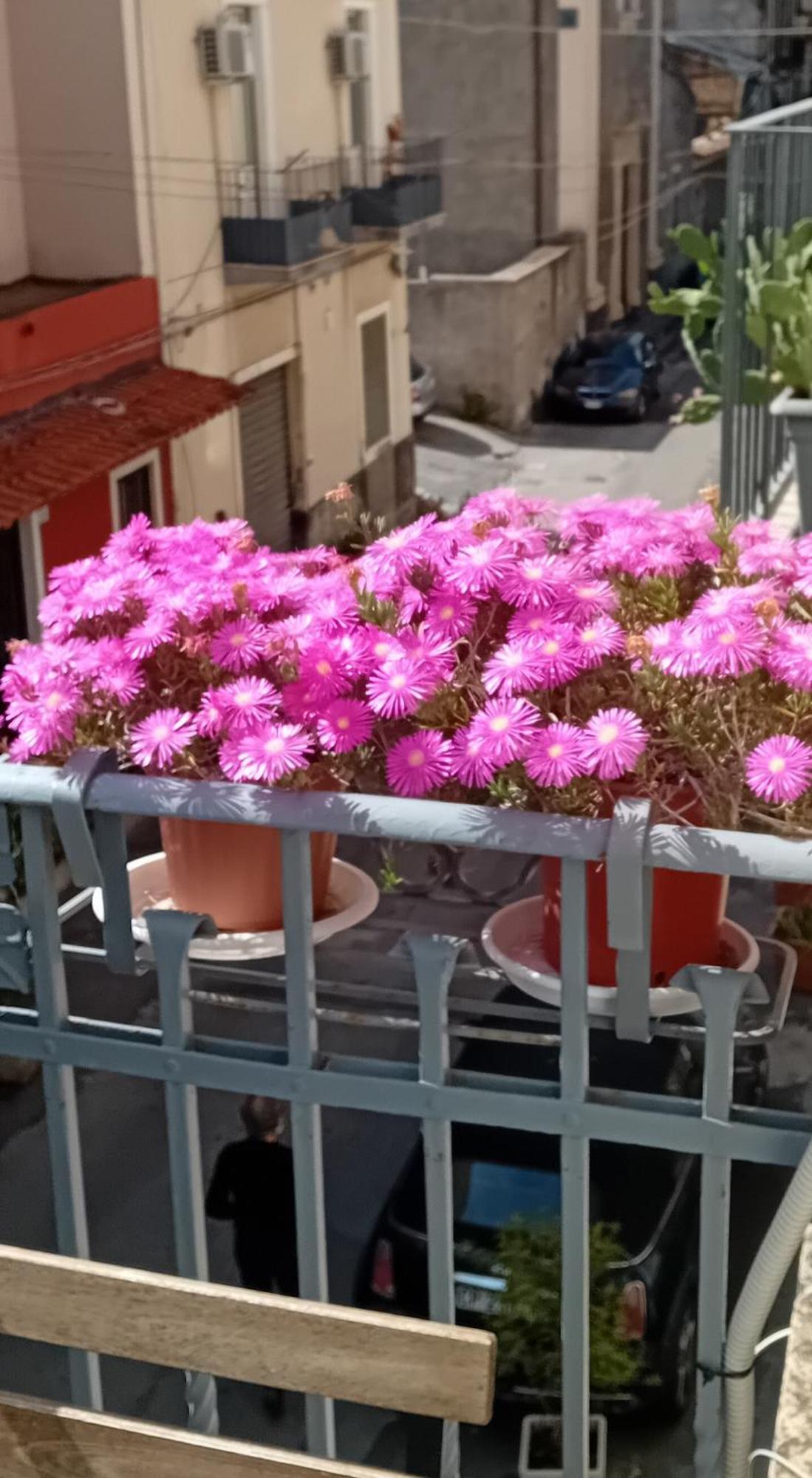 La Casuzza Di Tindaro Appartamento *